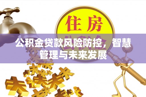 扎赉特旗公积金贷款风险防控，智慧管理与未来发展