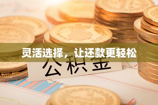 扎赉特旗灵活选择，让还款更轻松