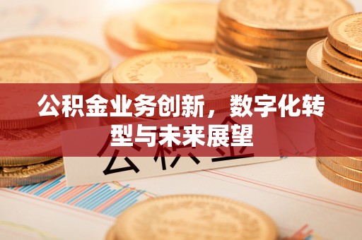 扎赉特旗公积金业务创新，数字化转型与未来展望