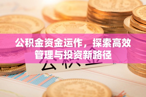 扎赉特旗公积金资金运作，探索高效管理与投资新路径