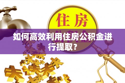 扎赉特旗如何高效利用住房公积金进行提取？
