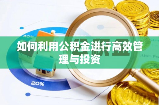 扎赉特旗如何利用公积金进行高效管理与投资